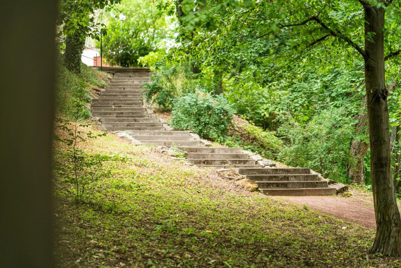 Hotel Dreibrunnen Gästehaus im Luisenpark Erfurt Exterior foto